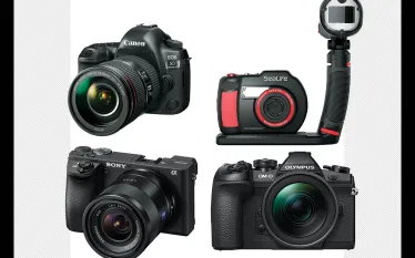 quicklooks-march-scuba-gear.jpg.webp