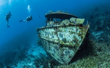 readers-choice--roatan-shipwreck-kadu-pinheiro-teaser.jpg.webp