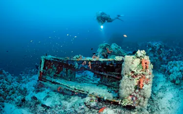 redsea.jpg.webp