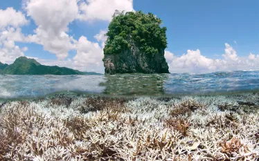 reef_relief_currents_teaser_scd.jpg.webp