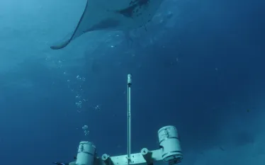 researcher_using_stereo_camera_to_measure_manta_rays_hanifaru_bay_baa_atoll_maldives__guy_stevens_manta_trust_.jpg.webp
