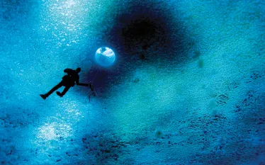 ross-sea-turtle-rock-ice-john-weller_scd.jpg.webp