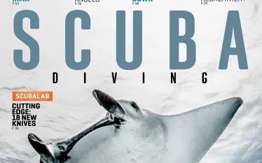 scd_covermanta.jpg.webp