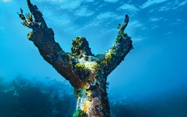 scd_idoljennifer_keylargo.jpg.webp