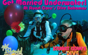 scove-wedding-graphic.jpg.webp
