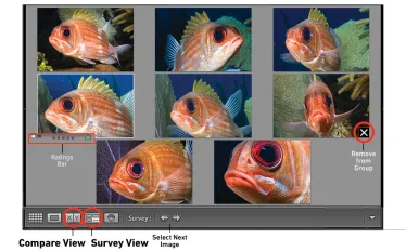 scu-adobe-lightroom-tutorial-.jpg.webp