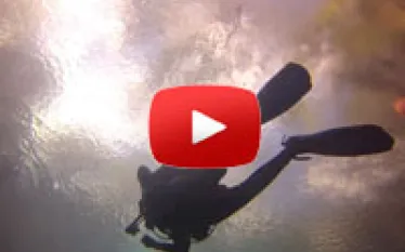 scu-blue-grotto-video_thumb.jpg.webp