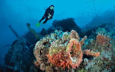 scu-red-sea-aggressor-diving.jpg.webp