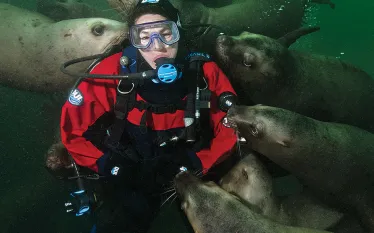 scu_diver_seals_british_columbia.jpg.webp