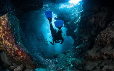 scuba-cayman_shutterstock_.jpg.webp