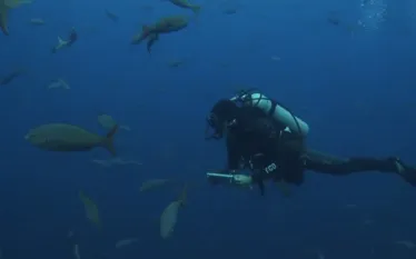 scuba-certification.jpg.webp