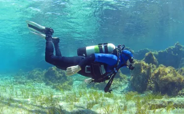 scuba-diver-shallow-mediterranean-shutterstock-nikolay-hristakiev.jpg.webp