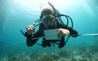 scuba-diving-for-college-credit.jpg.webp