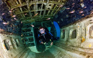 scuba-diving-specialty-wreck.jpg.webp