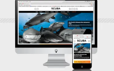 scuba-new-website-redesign.jpg.webp