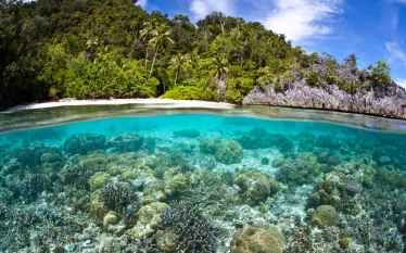 scuba-papuanewguinea_shutterstock_.jpg.webp