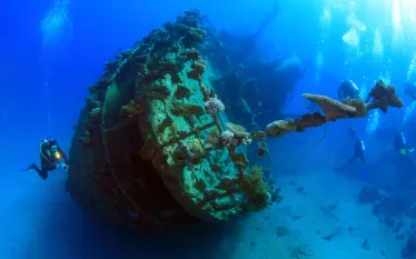 scuba-redsea_shutterstock_.jpg.webp