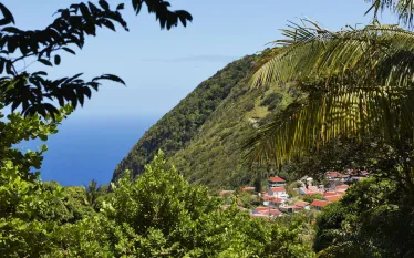 scuba-saba_shutterstock__.jpg.webp