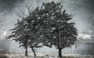 scuba-underwater-photo-contest-conor-culver-mashup.jpg.webp