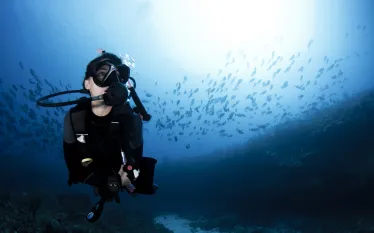 scuba_diver_unexplained_hit.jpg.webp