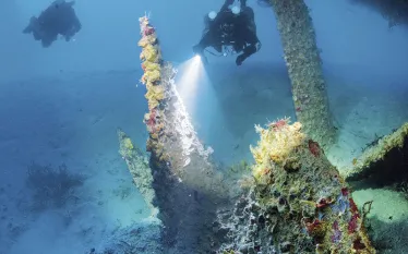 scuba_diving_key_largo_benwood_wreck_scd_dd_.jpg.webp