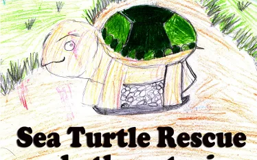sea-turtle-childrens-book-eric-douglas.jpg.webp