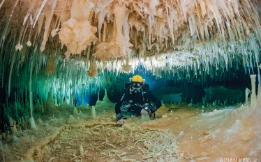 sea_hero_brian_kakuk_cave_diverscd_.jpg.webp