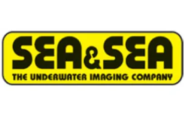 seaandsealogo.jpg.webp
