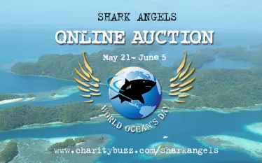 shark-angels-online-auction.jpg.webp