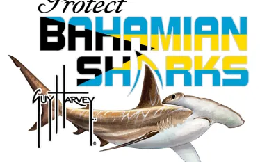 shark_sanctuary_chest_logo.jpg.webp
