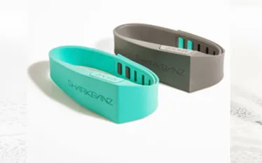 sharkbanz.jpg.webp