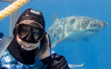 sharkselfiethumb.jpg.webp