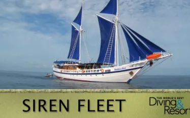 sirenfleet-wbdr.png.webp