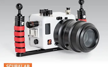 slcameras_webteaser_homepage_.jpg.webp