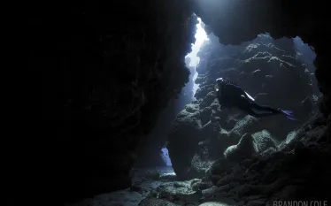 solo_scuba_diving_scd_trav_.jpg.webp