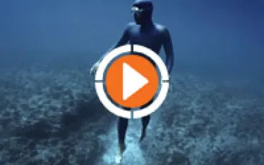 spd-oceangravity-thumb.jpg.webp