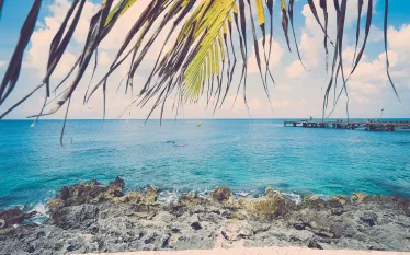 spddr_cozumeltourism_general_.jpg.webp