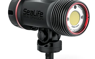 spdgg_imaging_lights_sea_dragon_f_auto.png.webp