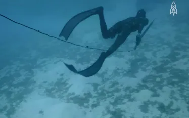 spearfishing-video-teaser-image.jpg.webp