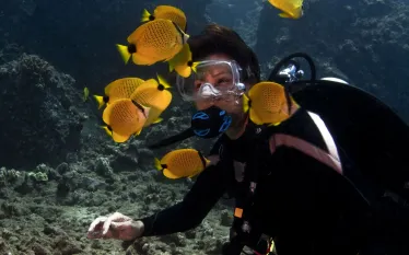 stockphoto-hawaii-beginner-dive-scubadiving.jpg.webp