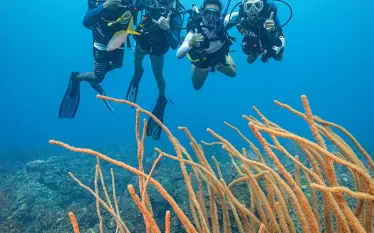 thebestisyettocome.scubadivingmagazine.december.jpg.webp