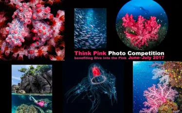 think_pink_photo_contest.jpg.webp