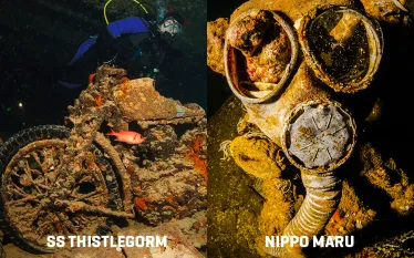 thistlegorm-nippomaru.jpg.webp