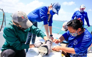tiff-shark-girth-measurement-julia-wester-field-school.jpg.webp