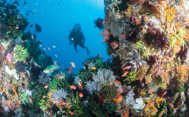travel-staff-picks-komodo-brandon_cole.jpg.webp
