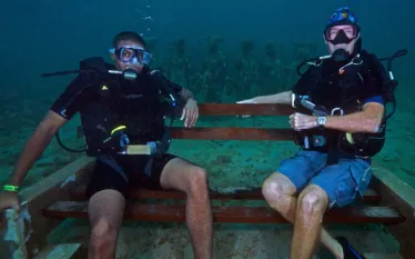 underwater-bench-grenada.jpg.webp