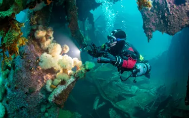 underwater-canada-east-torpedo-jill-heinerth-.jpg.webp