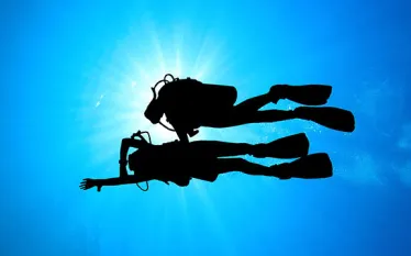 underwater-nav-.jpg.webp