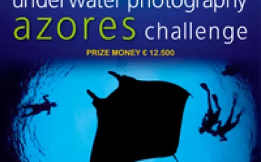 upa_challenge_poster_.jpg.webp