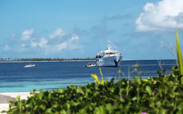 wakatobi-dive-resort.scubadivingmagazine.june.jpg.webp